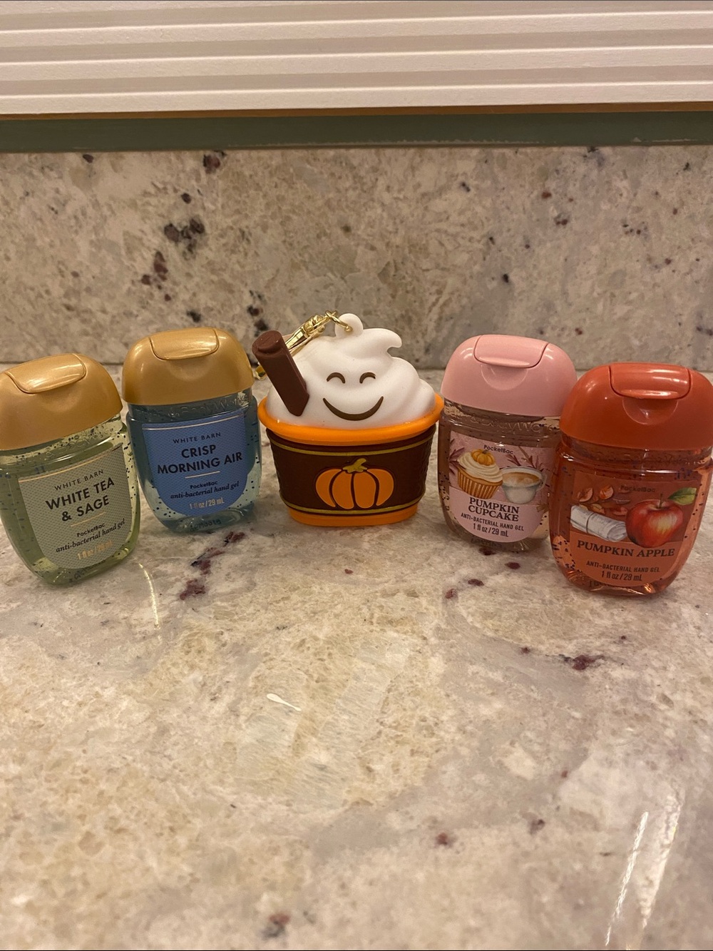 Bath & Body Works set with Pumpkin latte gel holder bag charm & 4 hand gels NWT